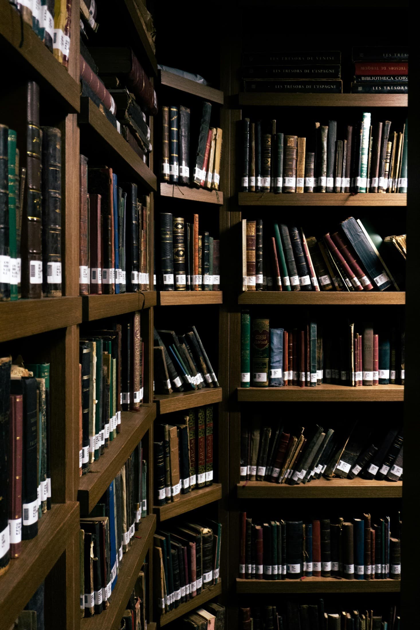 رفوف كتب علمية قديمة