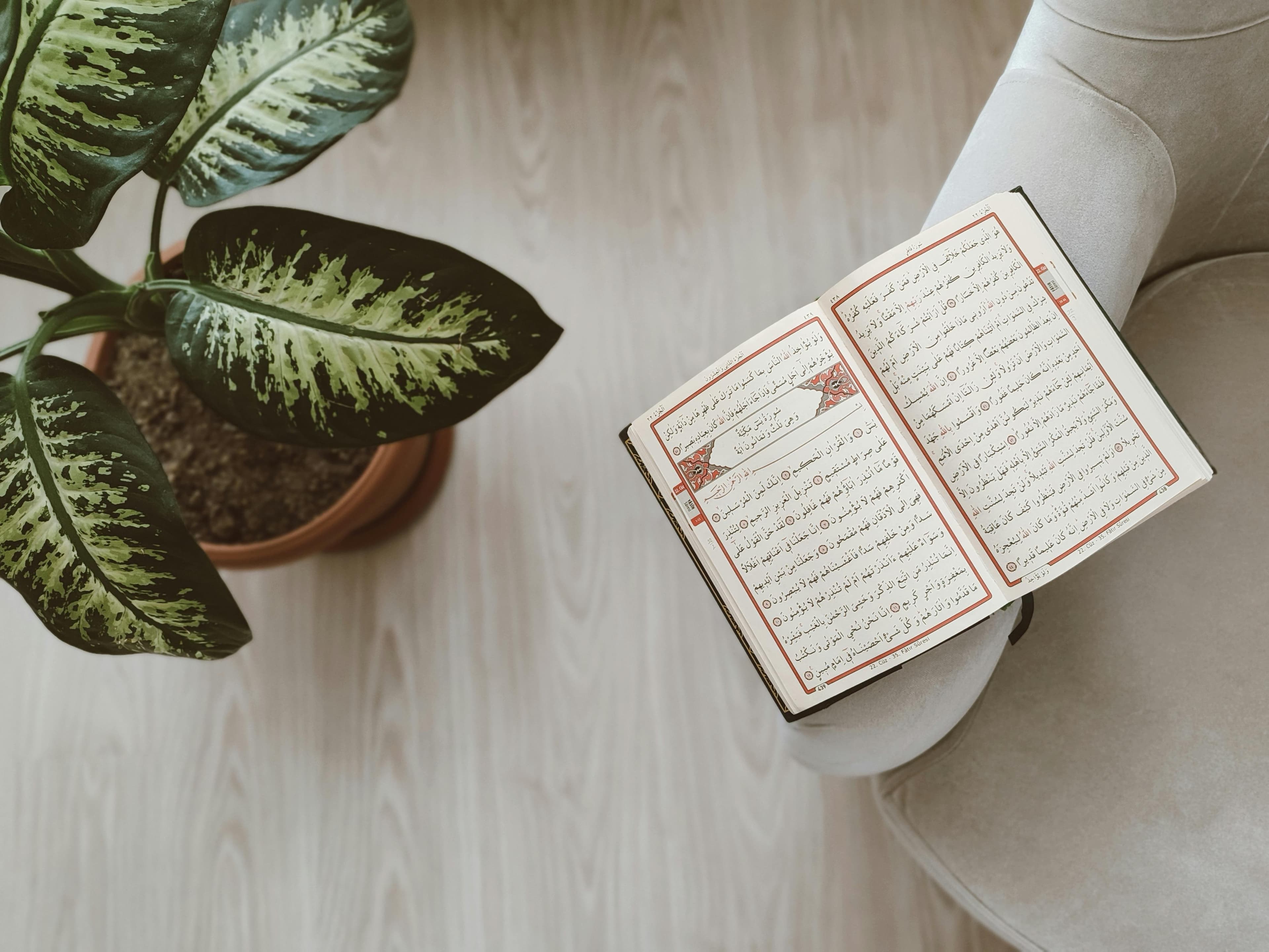 مصحف مفتوح بجوار نبتة داخلية في مشهد هادئ يعكس مدخلًا ميسّرًا إلى الدراسة المركزة